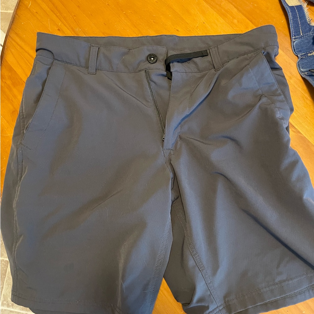 Size 32 men’s Gray North Face Shorts